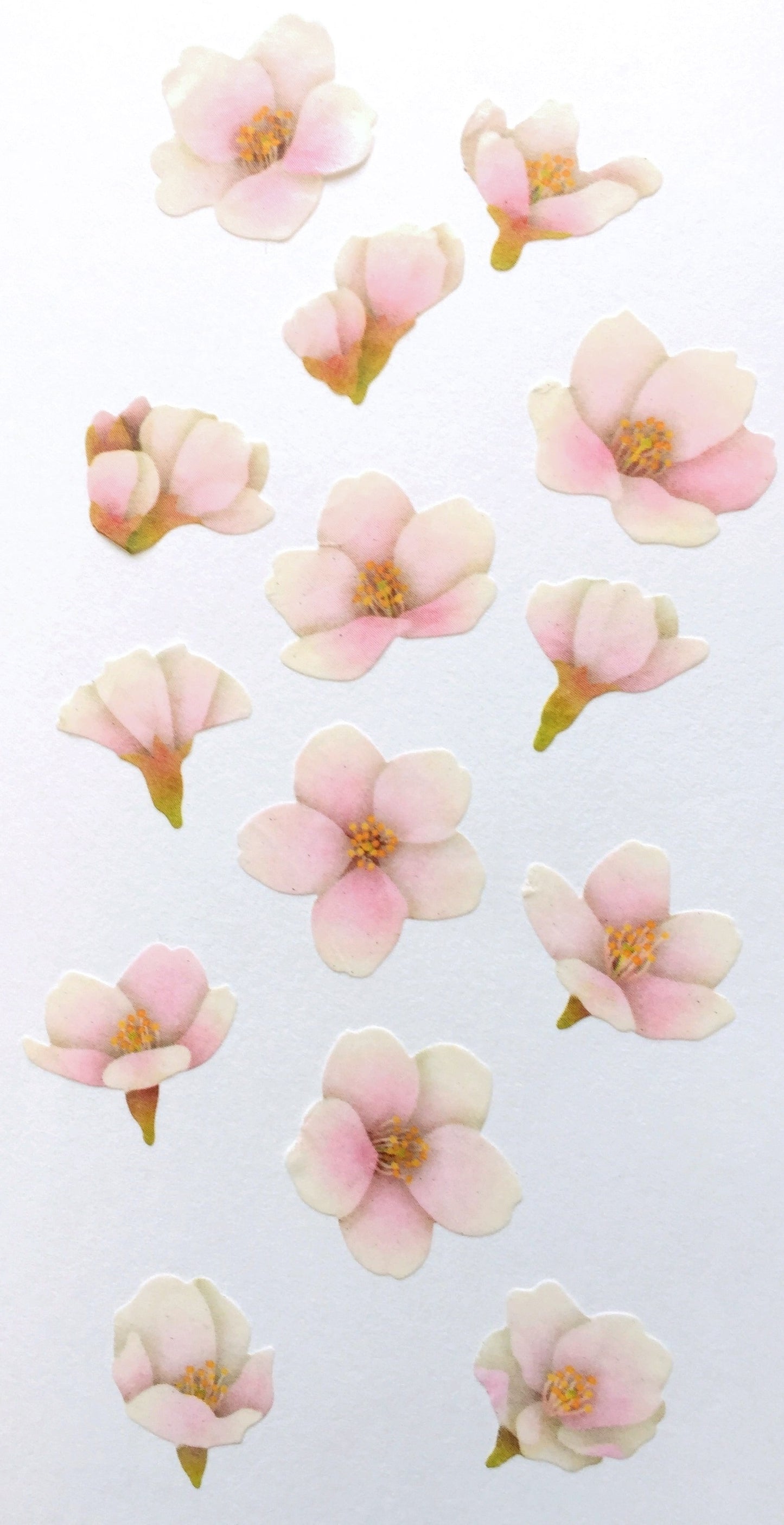 Bande - assorted petal masking sticker roll SAMPLES