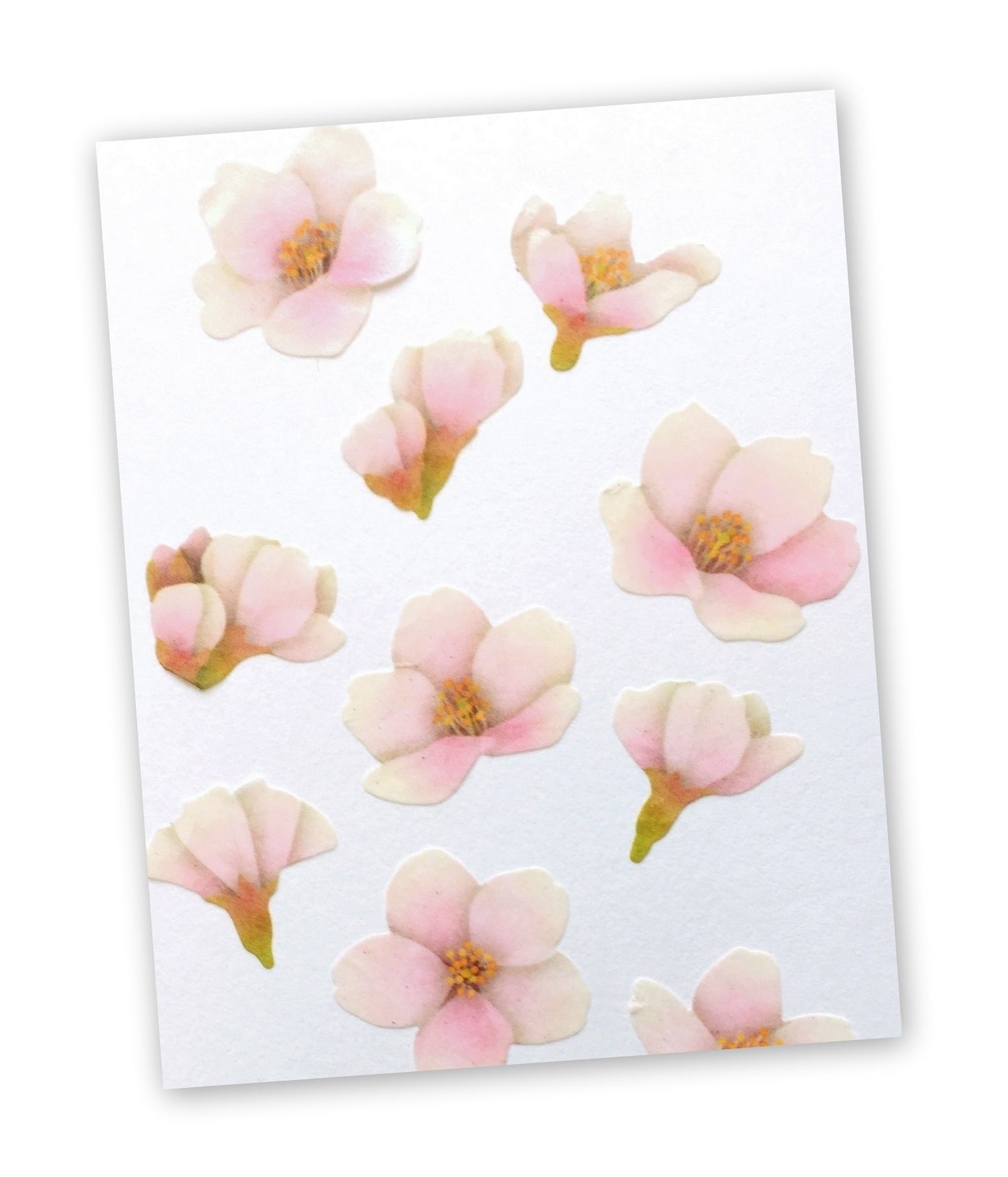 Bande - assorted petal masking sticker roll SAMPLES