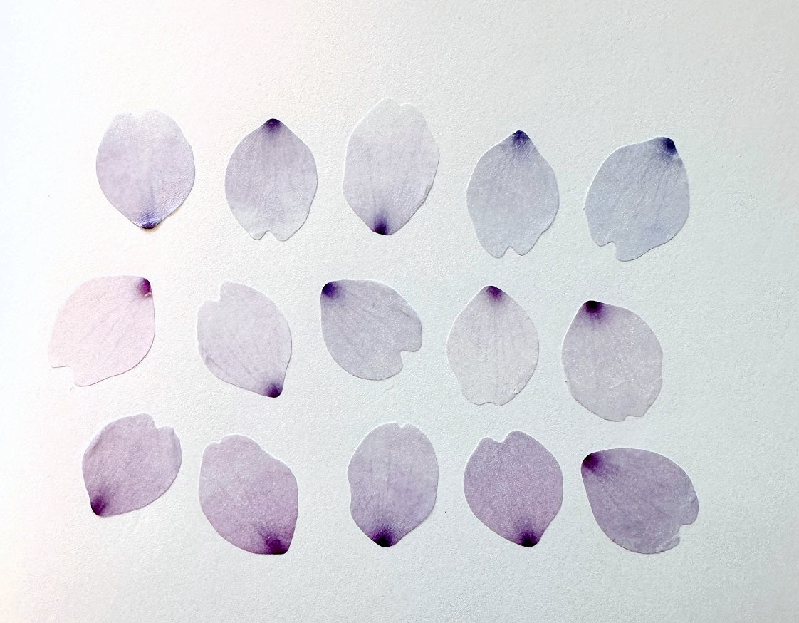 Bande - assorted petal masking sticker roll SAMPLES