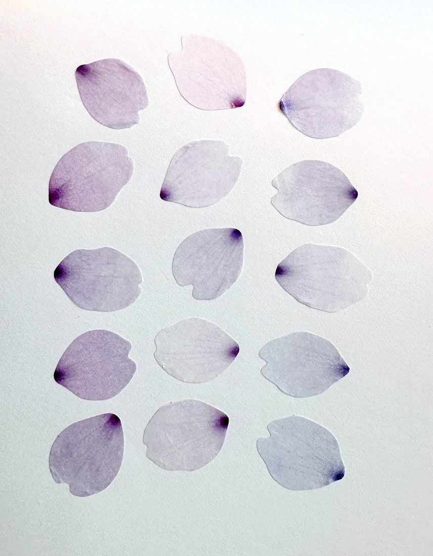 Bande - assorted petal masking sticker roll SAMPLES