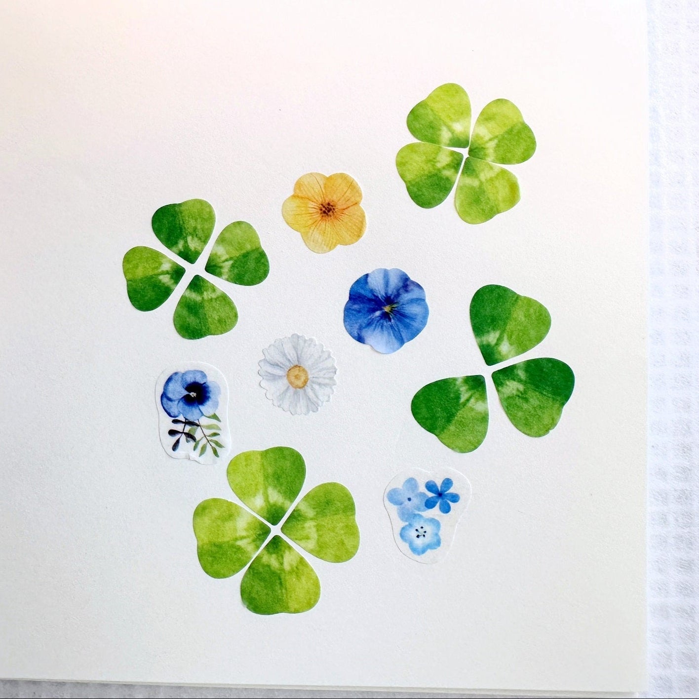 Bande - assorted petal masking sticker roll SAMPLES