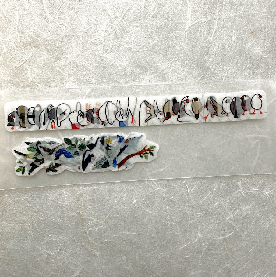 Bande - Finch masking sticker roll SAMPLES