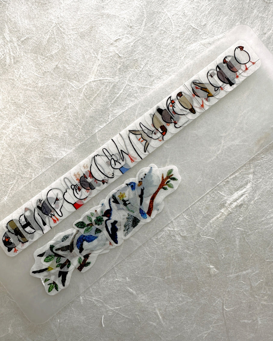 Bande - Finch masking sticker roll SAMPLES