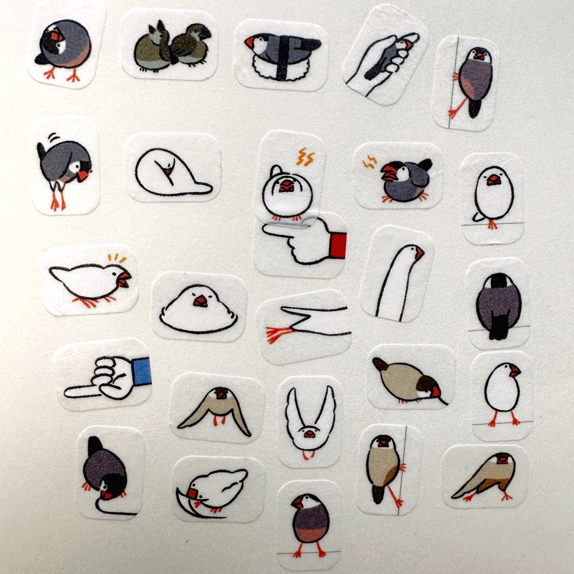 Bande - Finch masking sticker roll SAMPLES