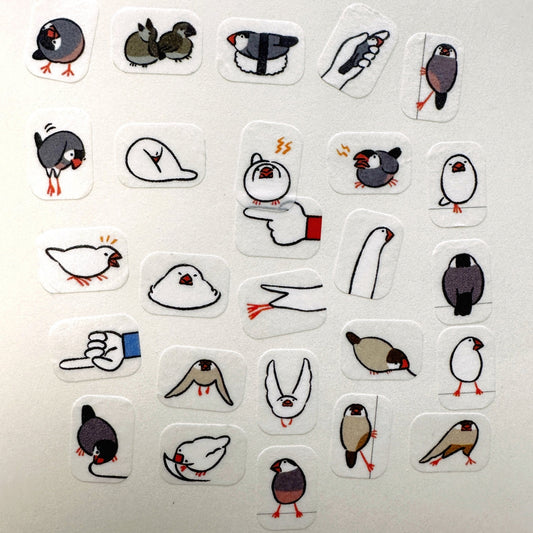 Bande - Finch masking sticker roll SAMPLES