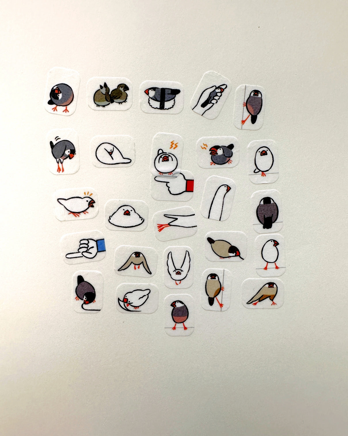 Bande - Finch masking sticker roll SAMPLES