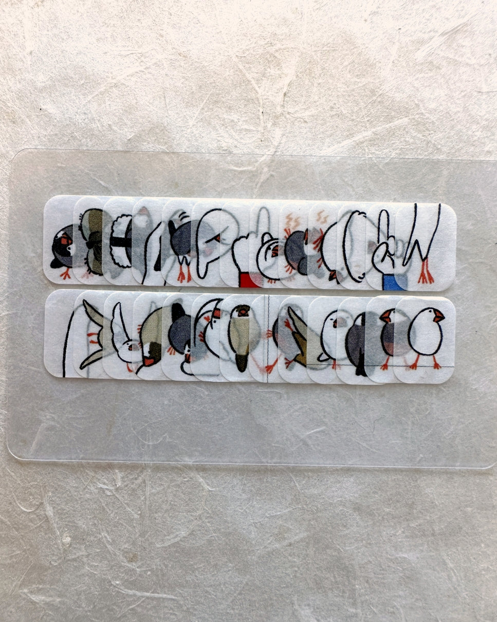 Bande - Finch masking sticker roll SAMPLES