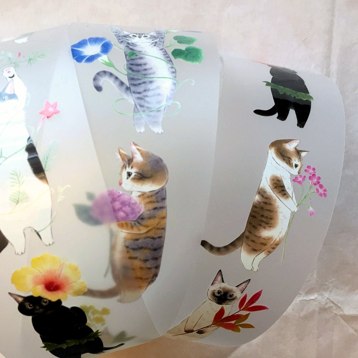 Davidcookslove - flower cats PET tape SAMPLES