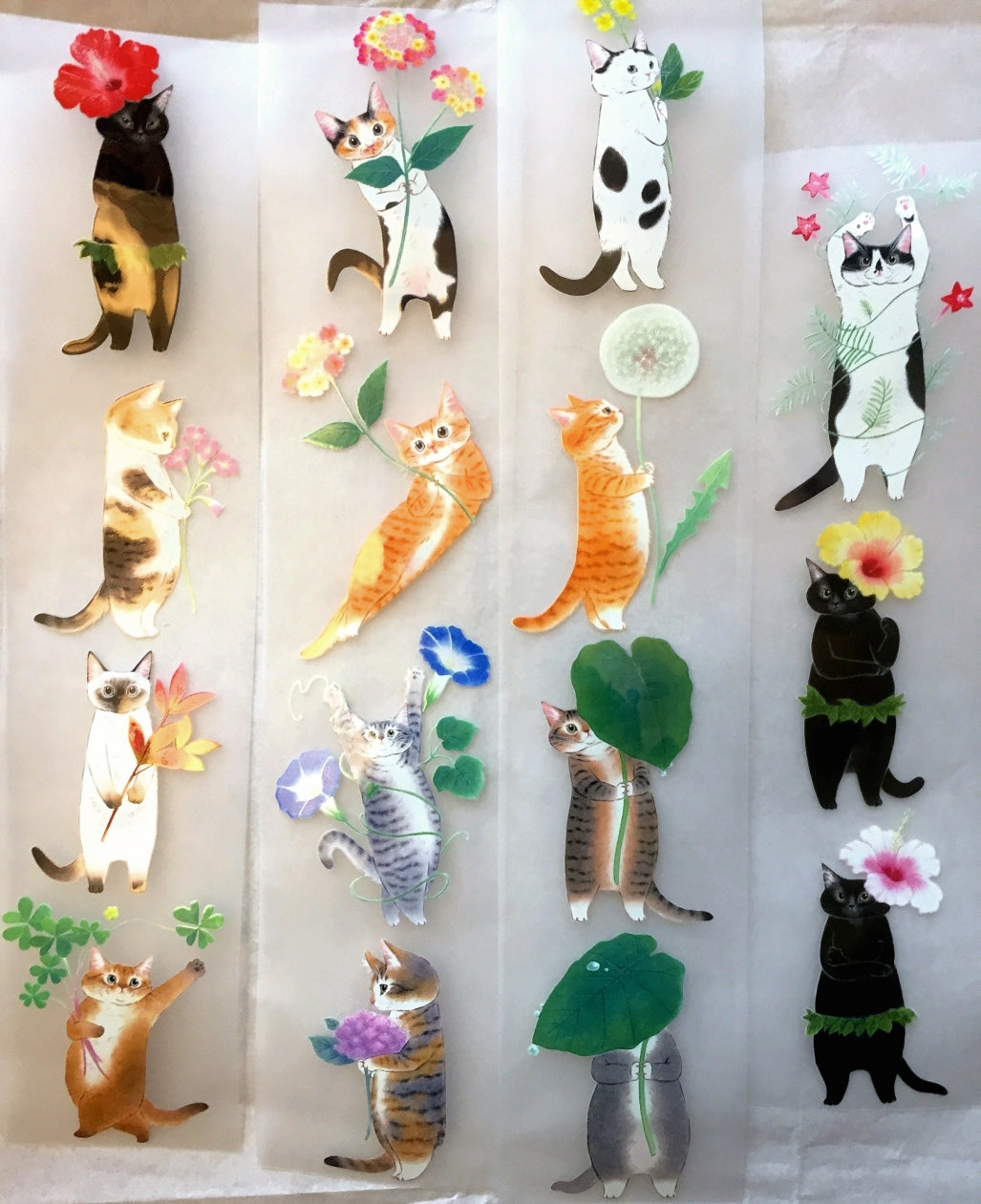 Davidcookslove - flower cats PET tape SAMPLES