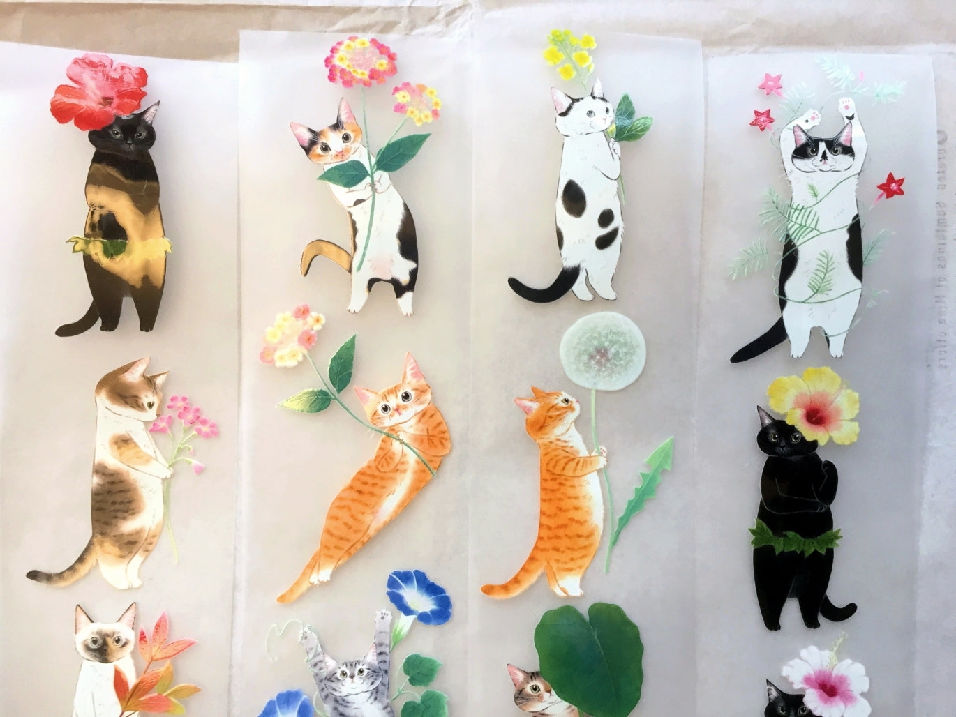 Davidcookslove - flower cats PET tape SAMPLES