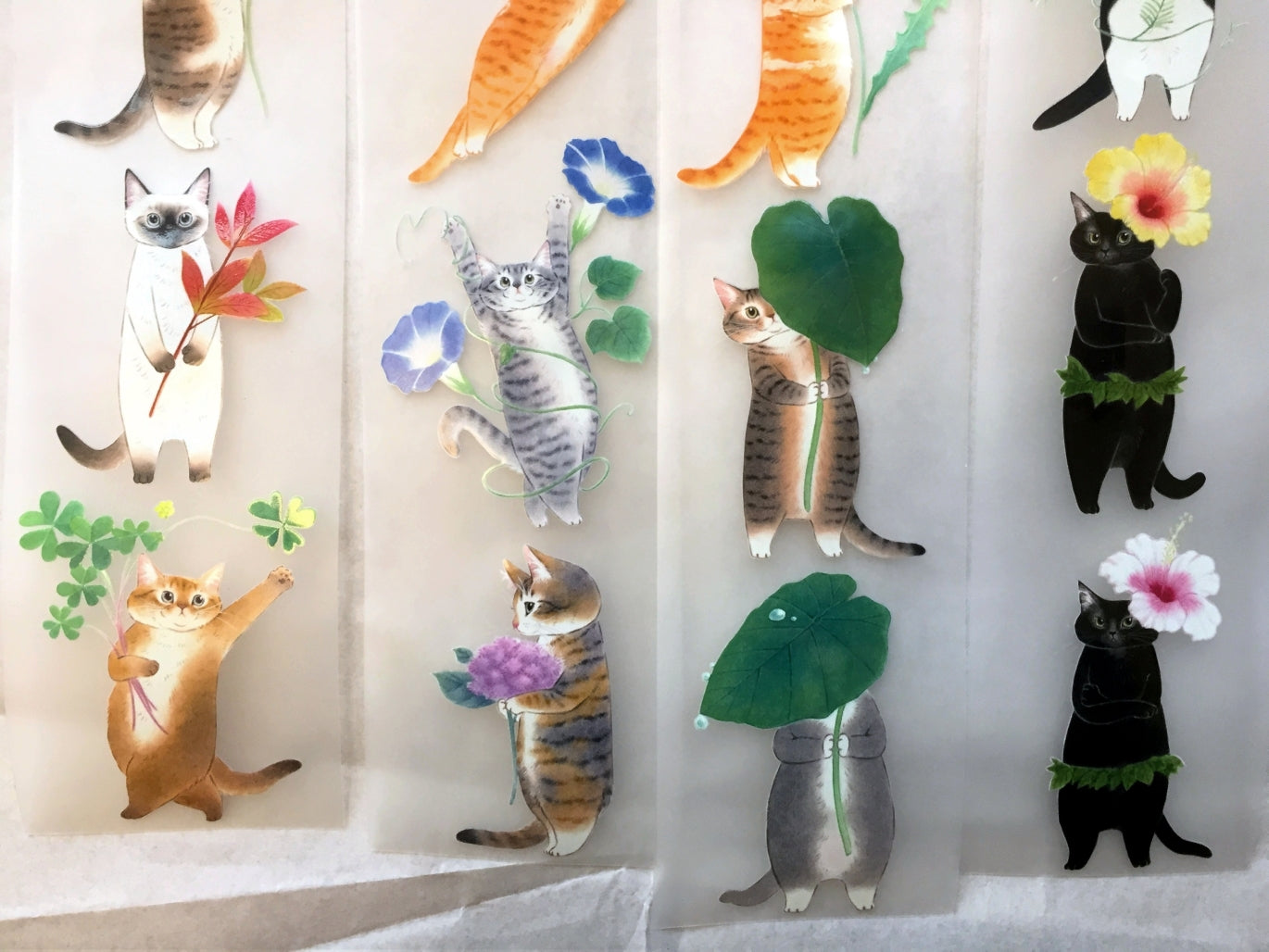 Davidcookslove - flower cats PET tape SAMPLES