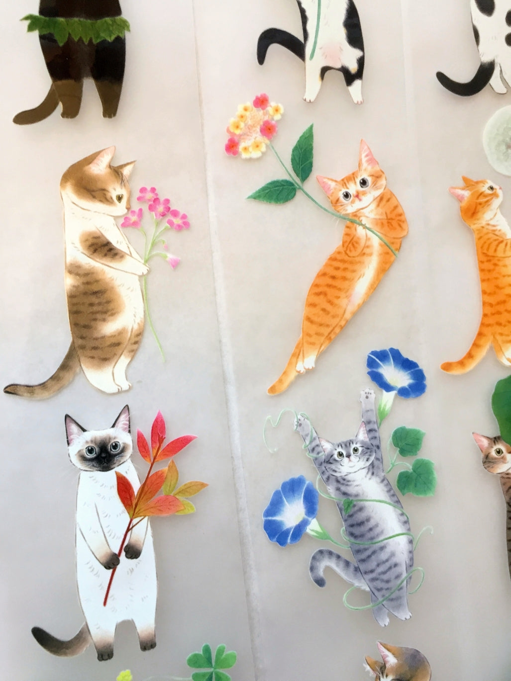 Davidcookslove - flower cats PET tape SAMPLES