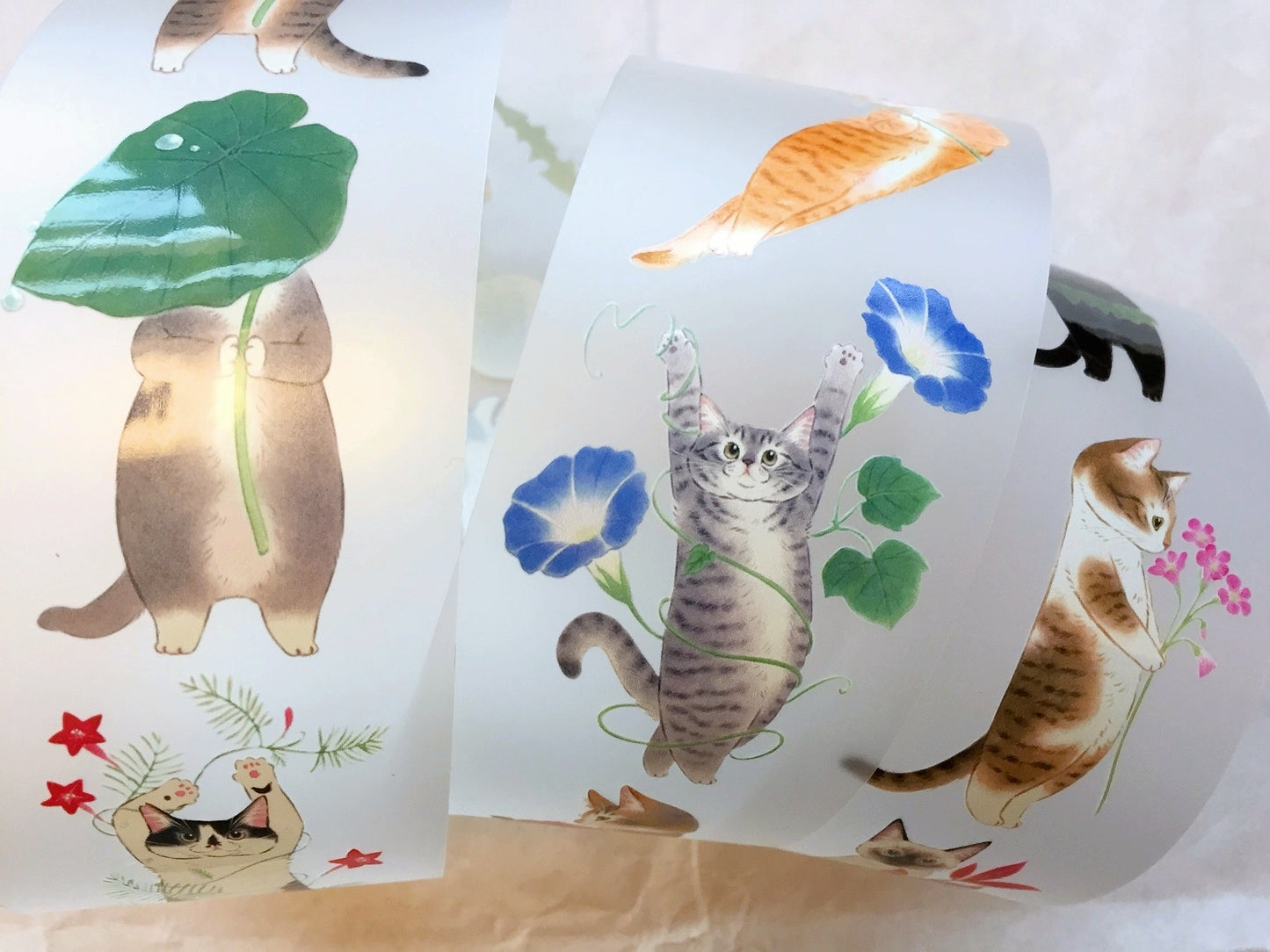 Davidcookslove - flower cats PET tape SAMPLES