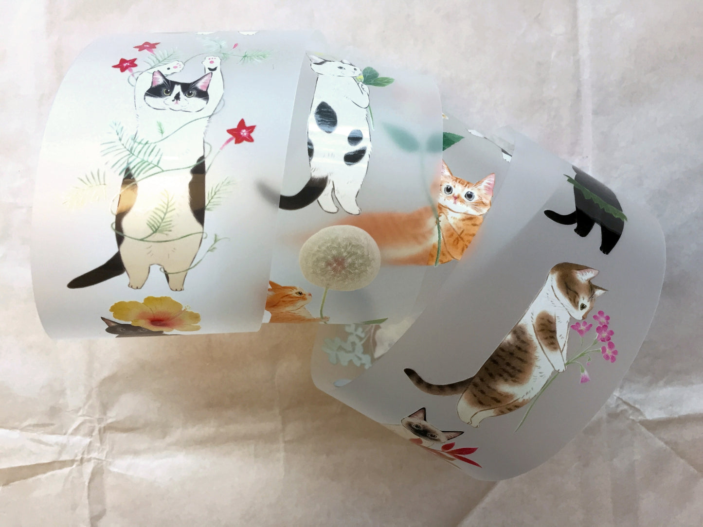Davidcookslove - flower cats PET tape SAMPLES