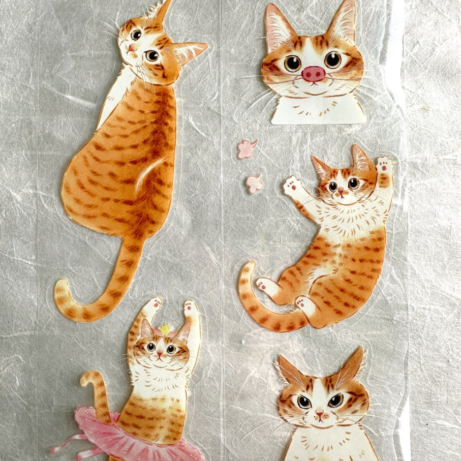 Davidcookslove - Miss Mia kiss-cut PET tape SAMPLES