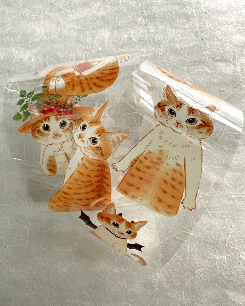 Davidcookslove - Miss Mia kiss-cut PET tape SAMPLES