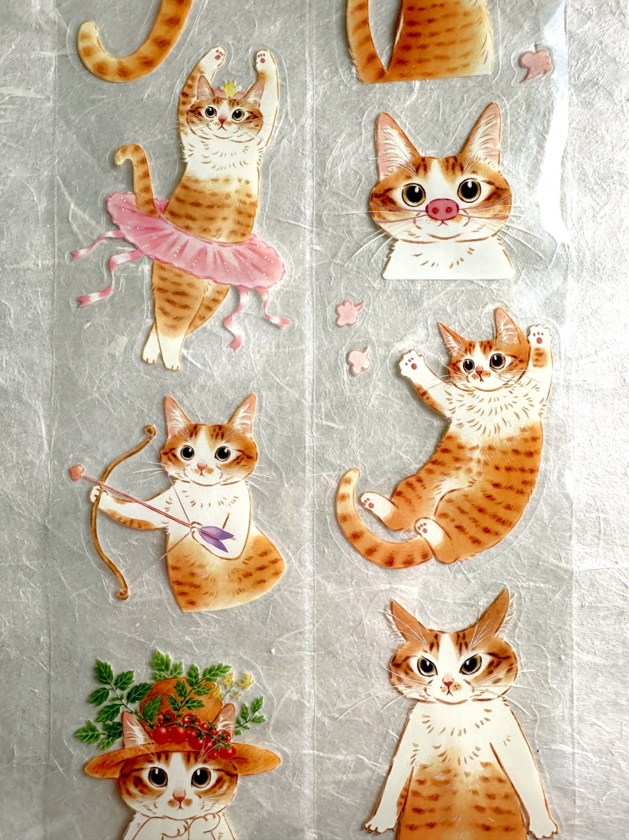 Davidcookslove - Miss Mia kiss-cut PET tape SAMPLES