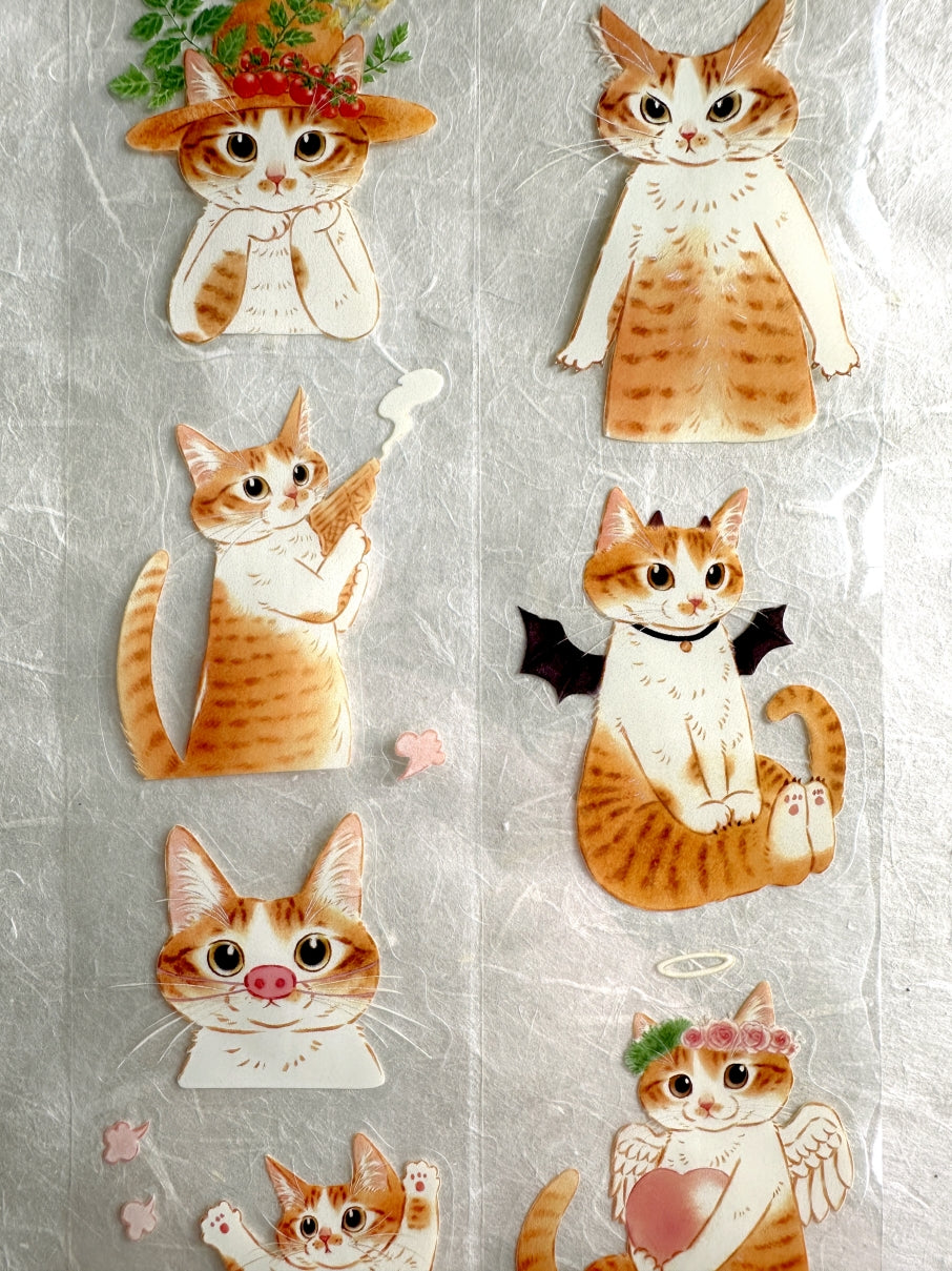 Davidcookslove - Miss Mia kiss-cut PET tape SAMPLES