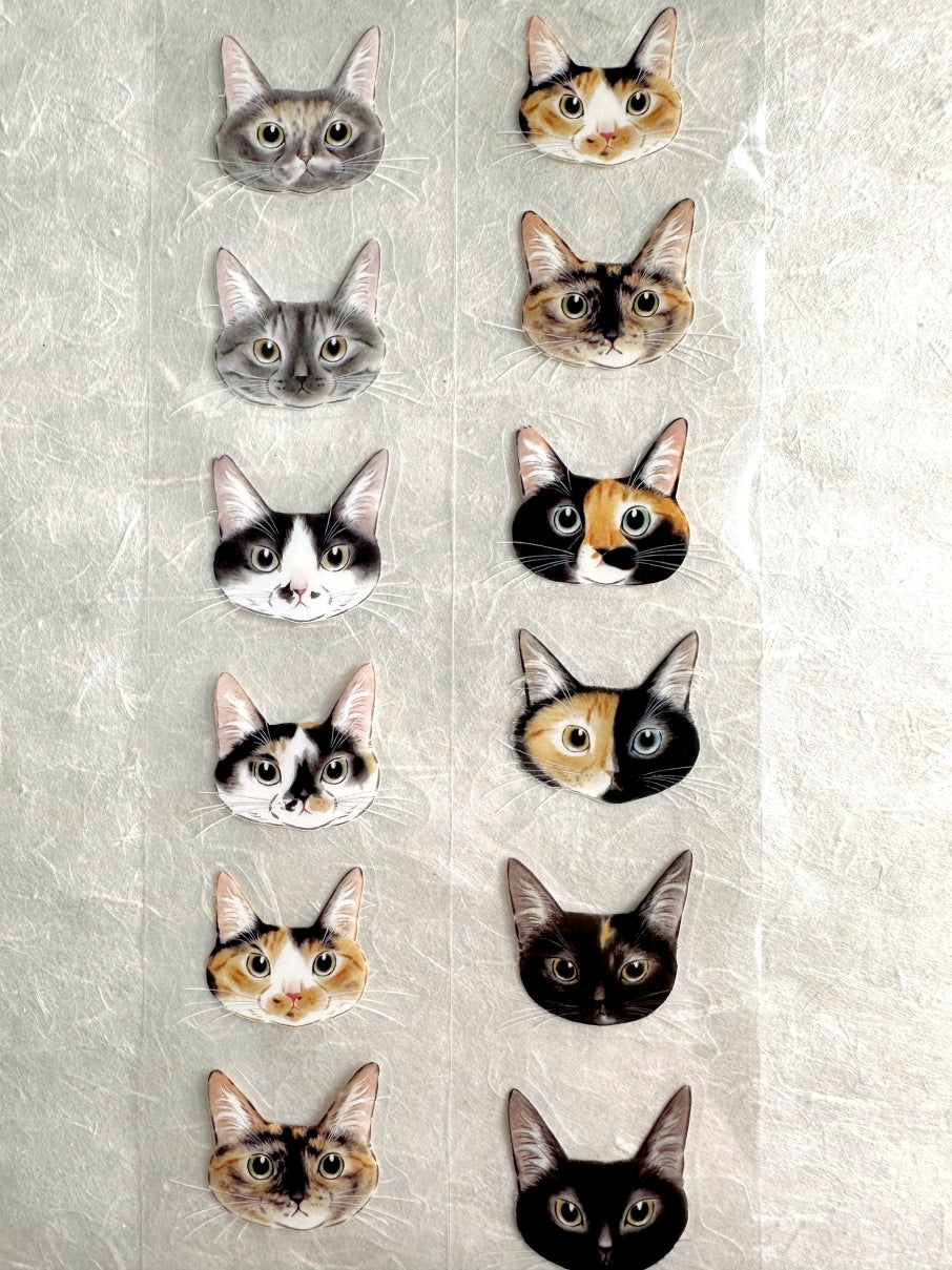 Davidcookslove - Cat Face Palette kiss-cut PET tape SAMPLES