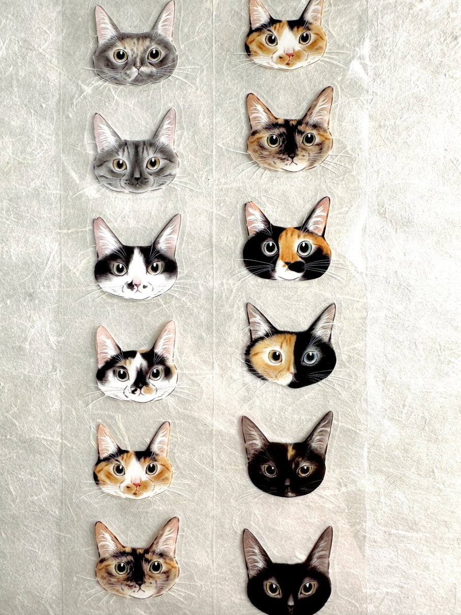 Davidcookslove - Cat Face Palette kiss-cut PET tape SAMPLES