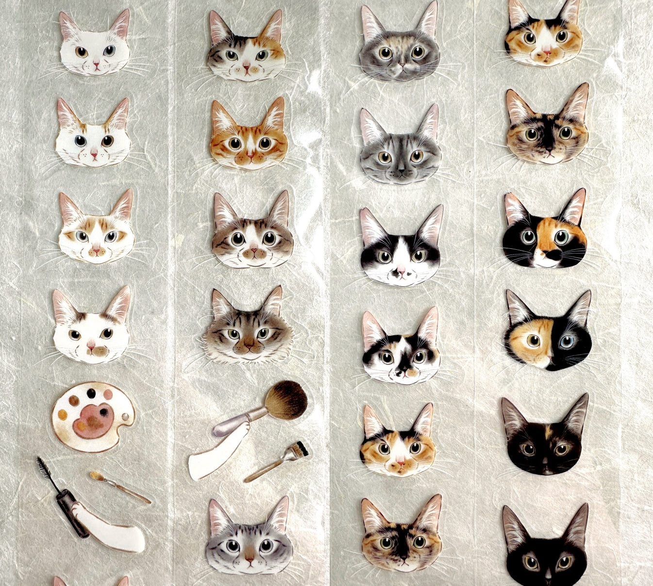 Davidcookslove - Cat Face Palette kiss-cut PET tape SAMPLES