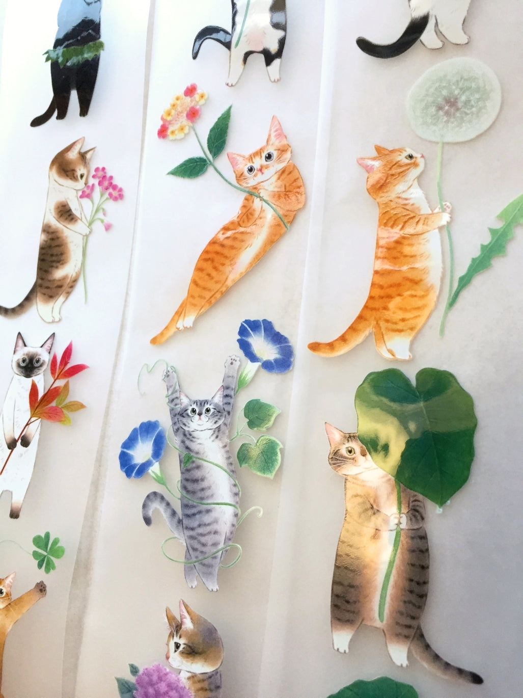 Davidcookslove - flower cats PET tape SAMPLES