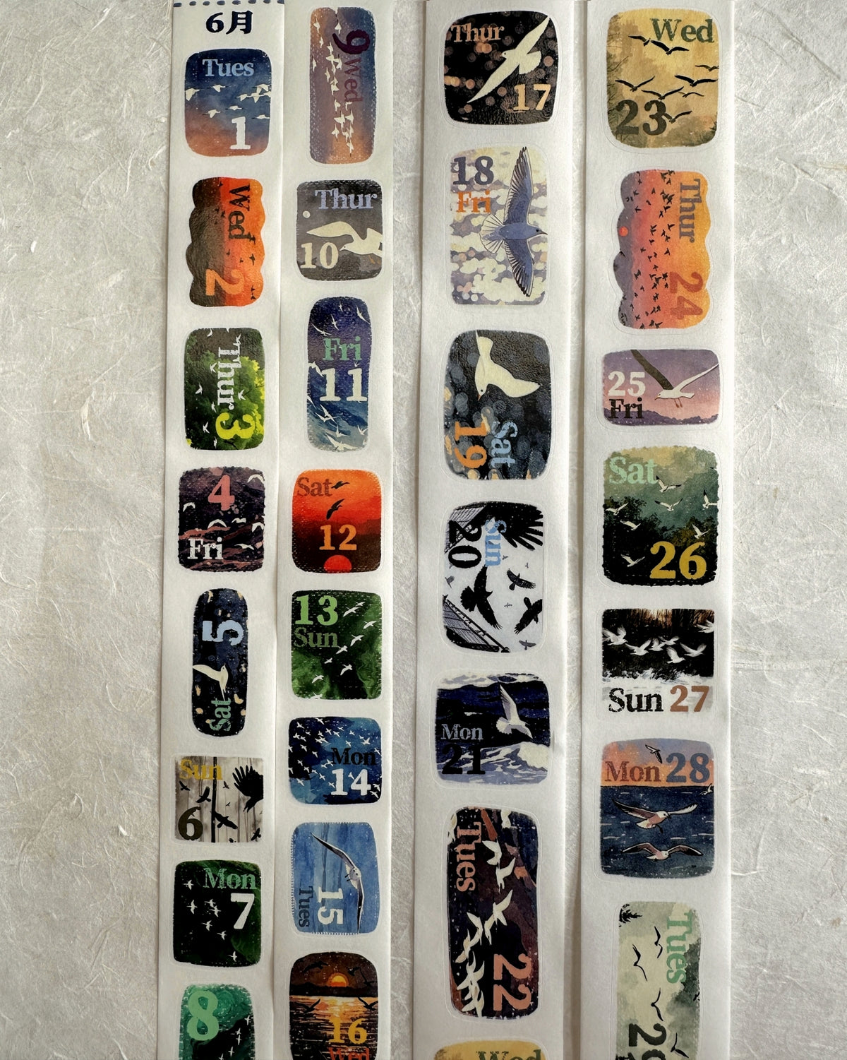 Dengdeng Studio - 2027 month-by-month date stickers kiss-cut washi tape sticker roll SAMPLES