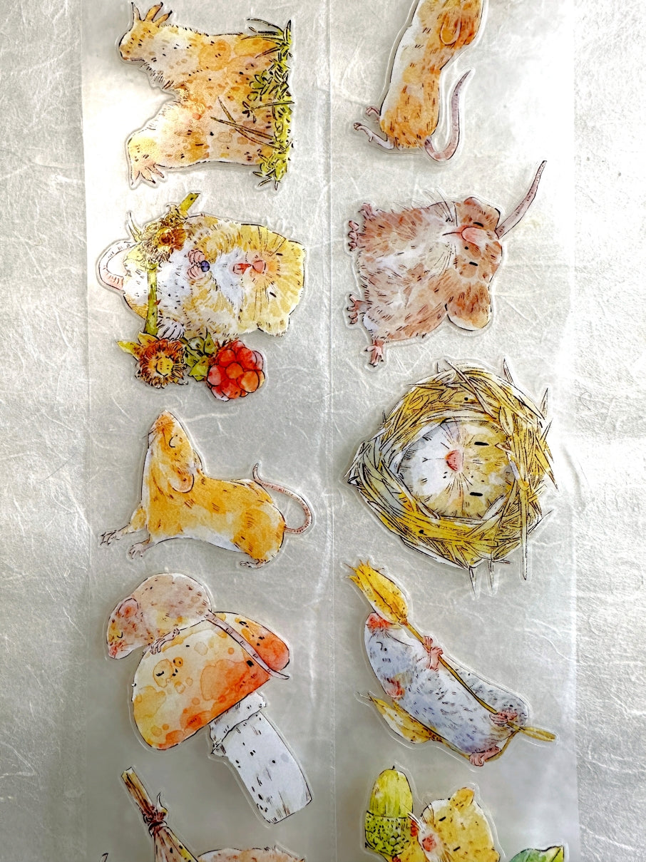 Ding Ding - Squeak kiss-cut PET tape (5 cm x 166 cm) SAMPLES