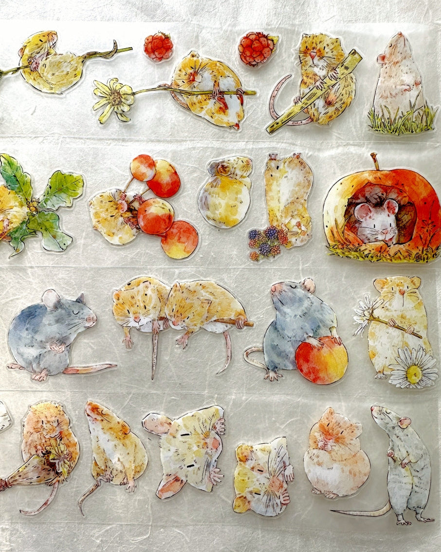 Ding Ding - Squeak kiss-cut PET tape (5 cm x 166 cm) SAMPLES