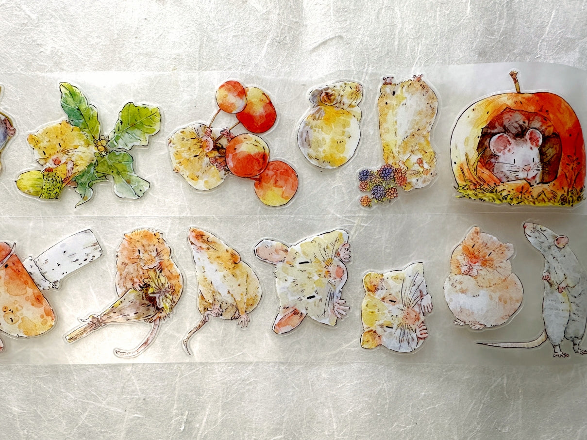 Ding Ding - Squeak kiss-cut PET tape (5 cm x 166 cm) SAMPLES