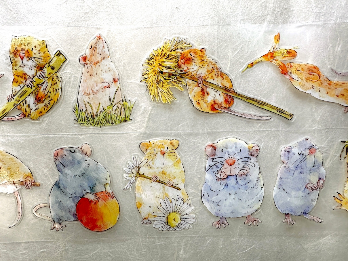 Ding Ding - Squeak kiss-cut PET tape (5 cm x 166 cm) SAMPLES