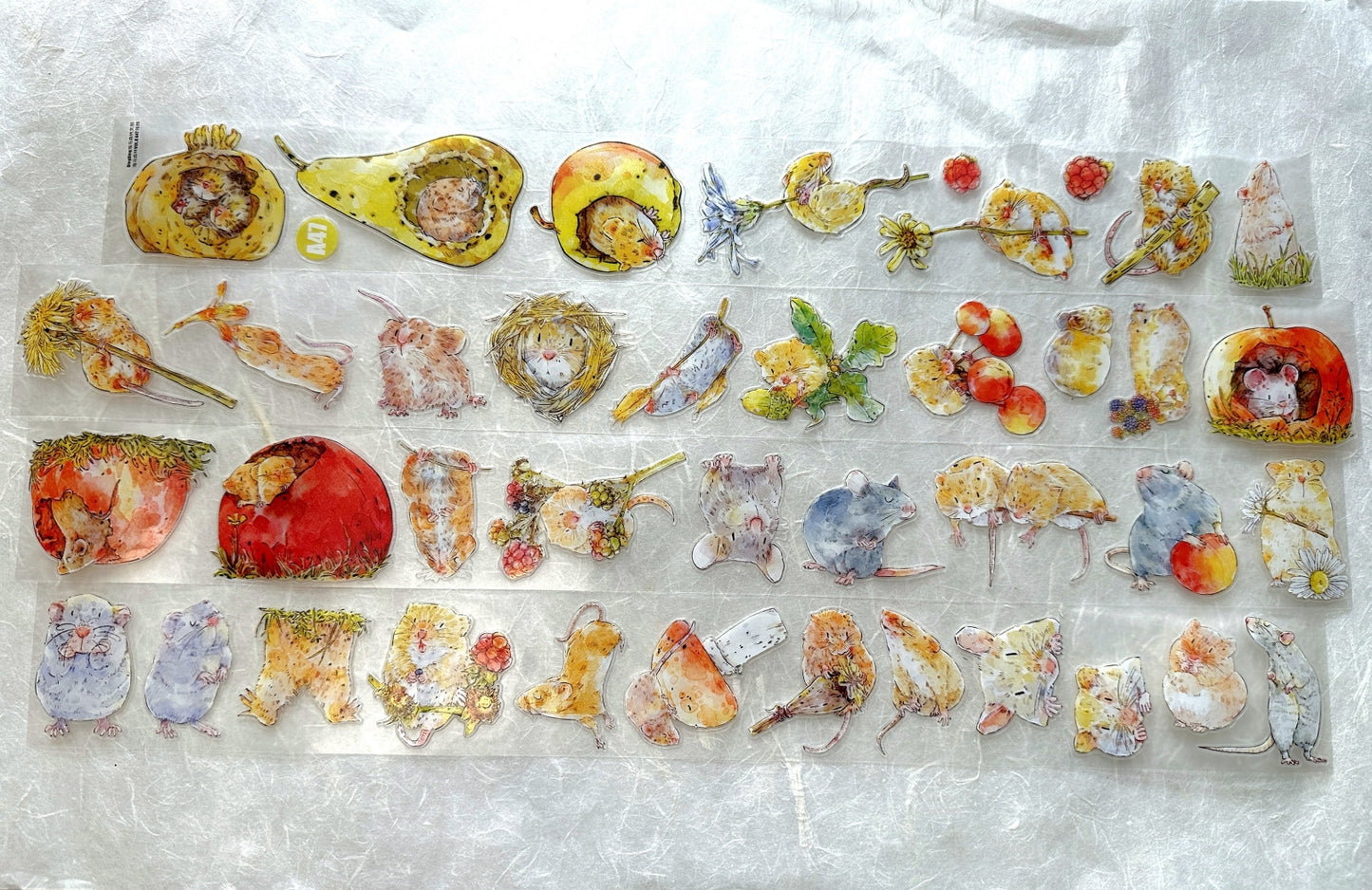 Ding Ding - Squeak kiss-cut PET tape (5 cm x 166 cm) SAMPLES