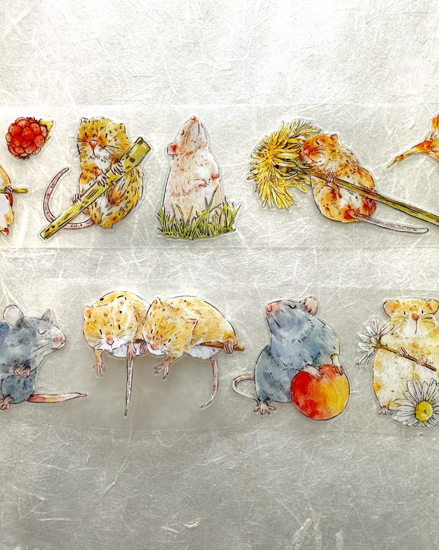 Ding Ding - Squeak kiss-cut PET tape (5 cm x 166 cm) SAMPLES