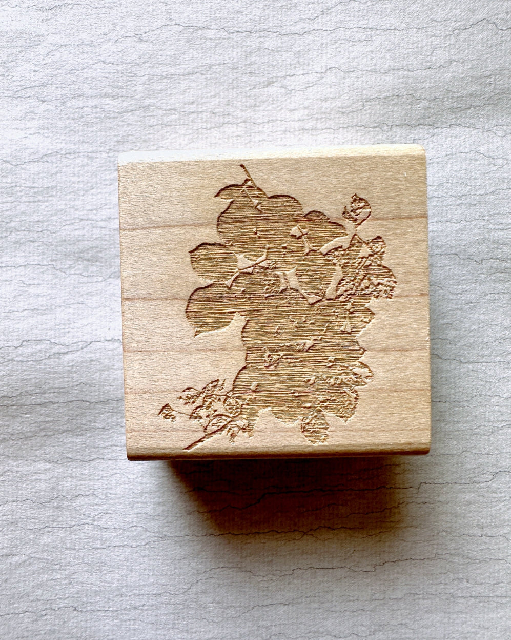 TAOthings Studio - Summer Wanes (decaying rose branch) rubber stamp