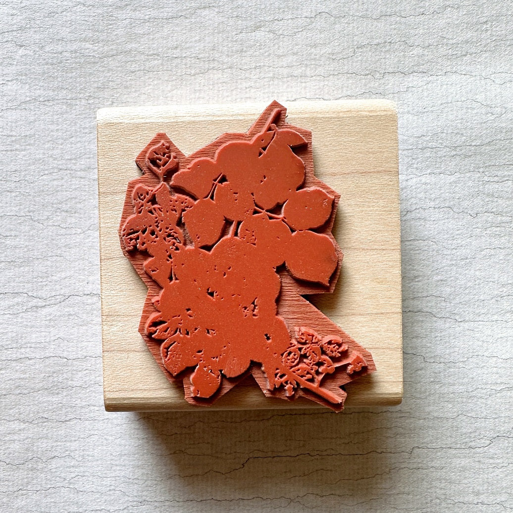 TAOthings Studio - Summer Wanes (decaying rose branch) rubber stamp
