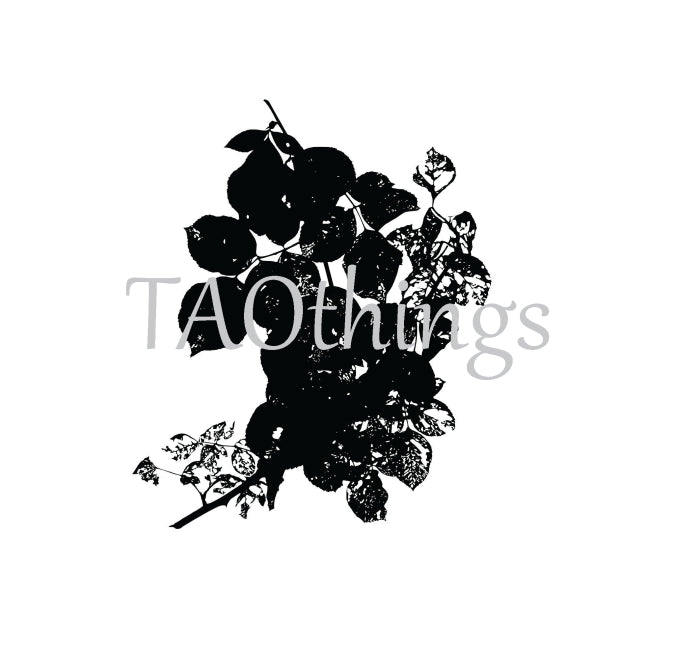 TAOthings Studio - Summer Wanes (decaying rose branch) rubber stamp