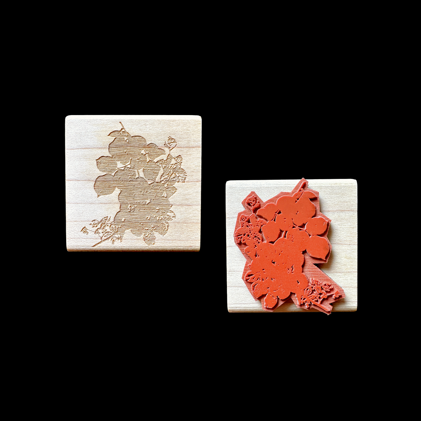 TAOthings Studio - Summer Wanes (decaying rose branch) rubber stamp