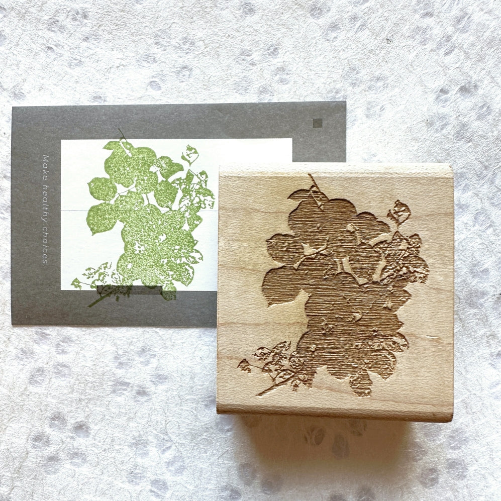 TAOthings Studio - Summer Wanes (decaying rose branch) rubber stamp