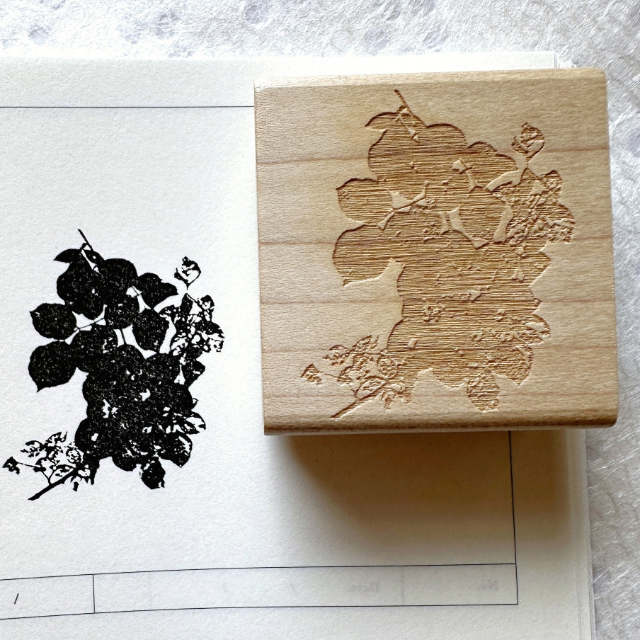 TAOthings Studio - Summer Wanes (decaying rose branch) rubber stamp