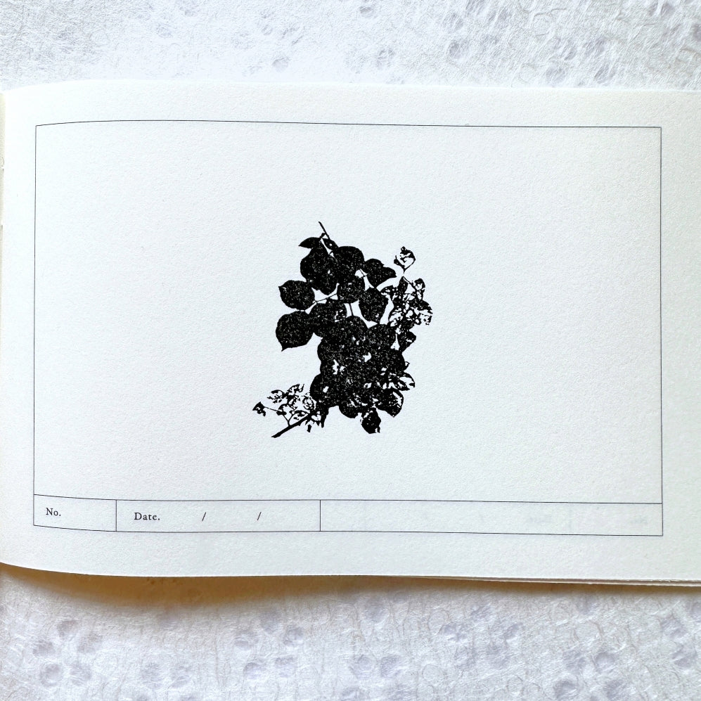 TAOthings Studio - Summer Wanes (decaying rose branch) rubber stamp