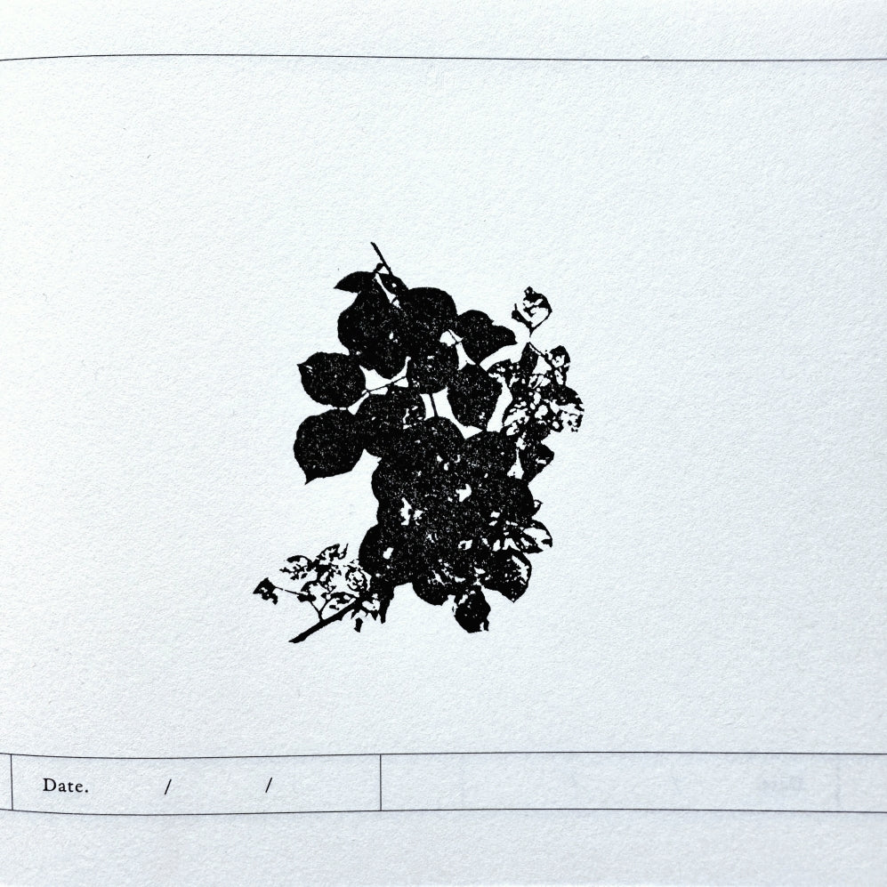 TAOthings Studio - Summer Wanes (decaying rose branch) rubber stamp