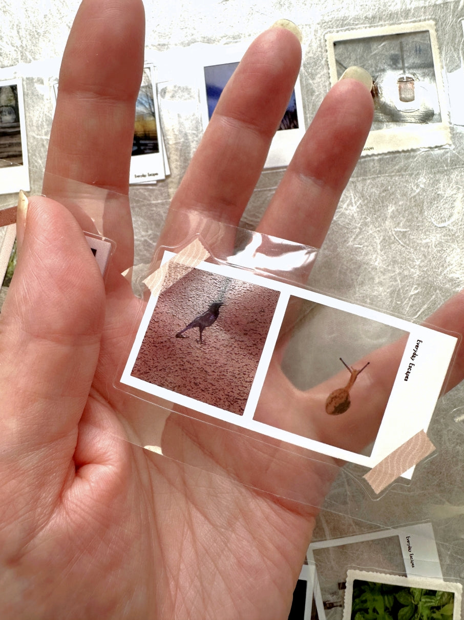Fairy Maru - Everyday Escapes kiss-cut PET tape 130 cm SAMPLE