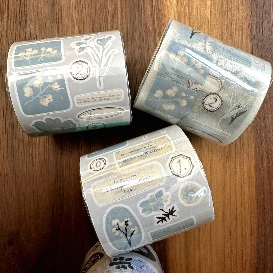 Freckles Tea - Vol. 5 Celadon Haze kiss-cut PET and paper tape SAMPLES