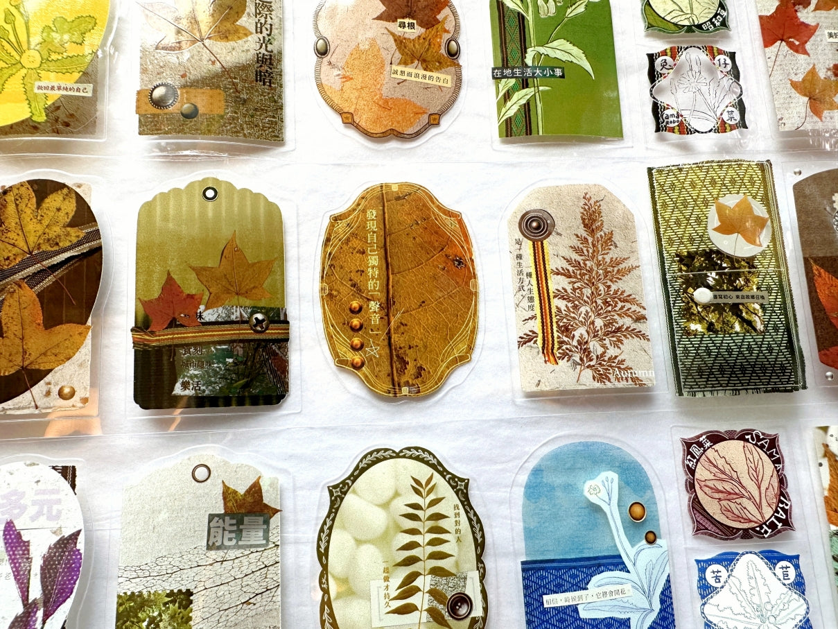 Fafa - Autumn Bounty kiss-cut PET tape SAMPLES