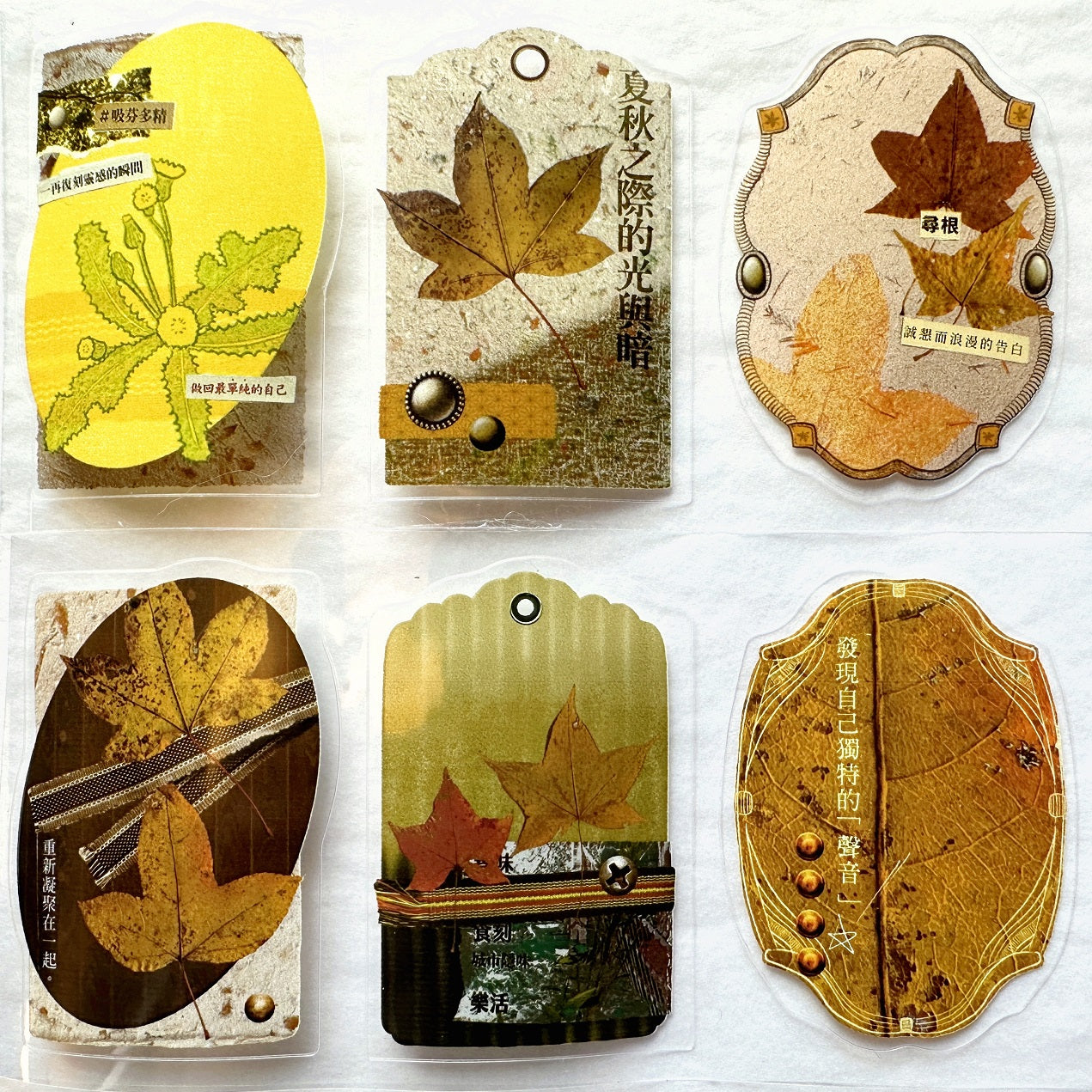 Fafa - Autumn Bounty kiss-cut PET tape SAMPLES