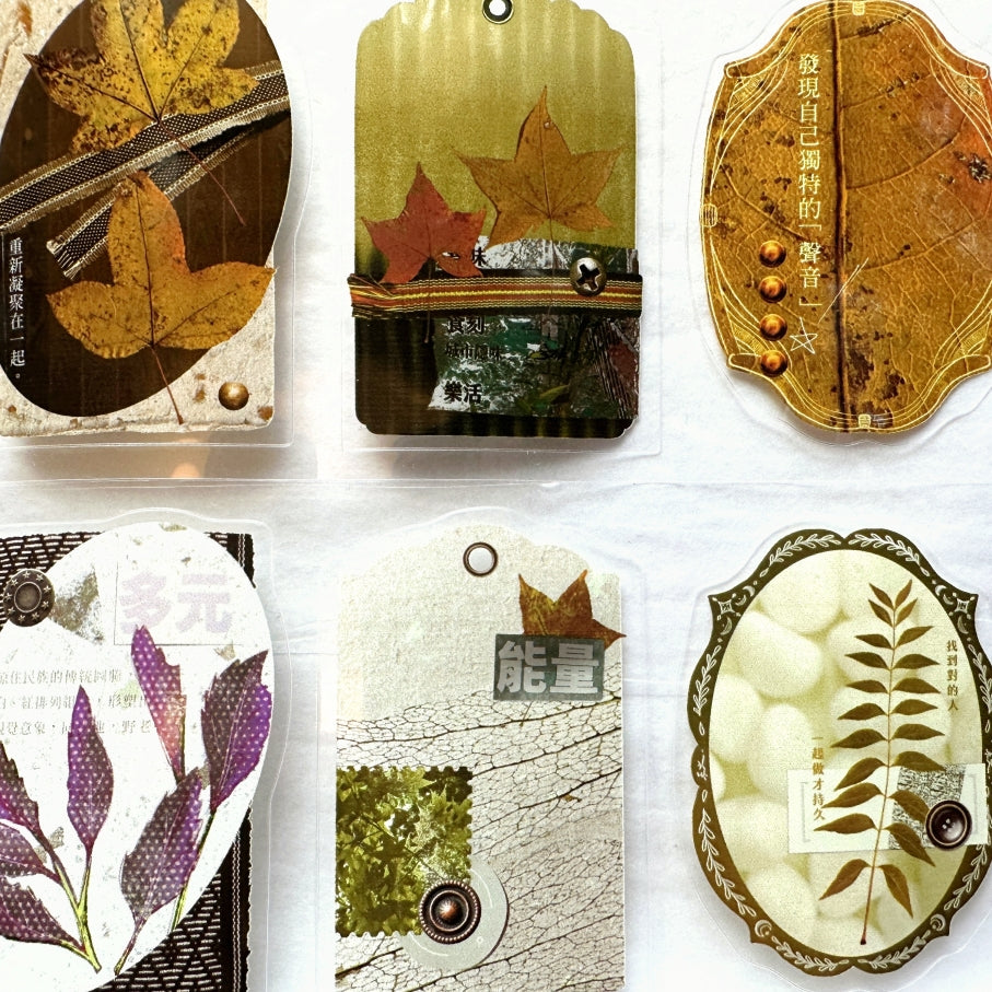 Fafa - Autumn Bounty kiss-cut PET tape SAMPLES