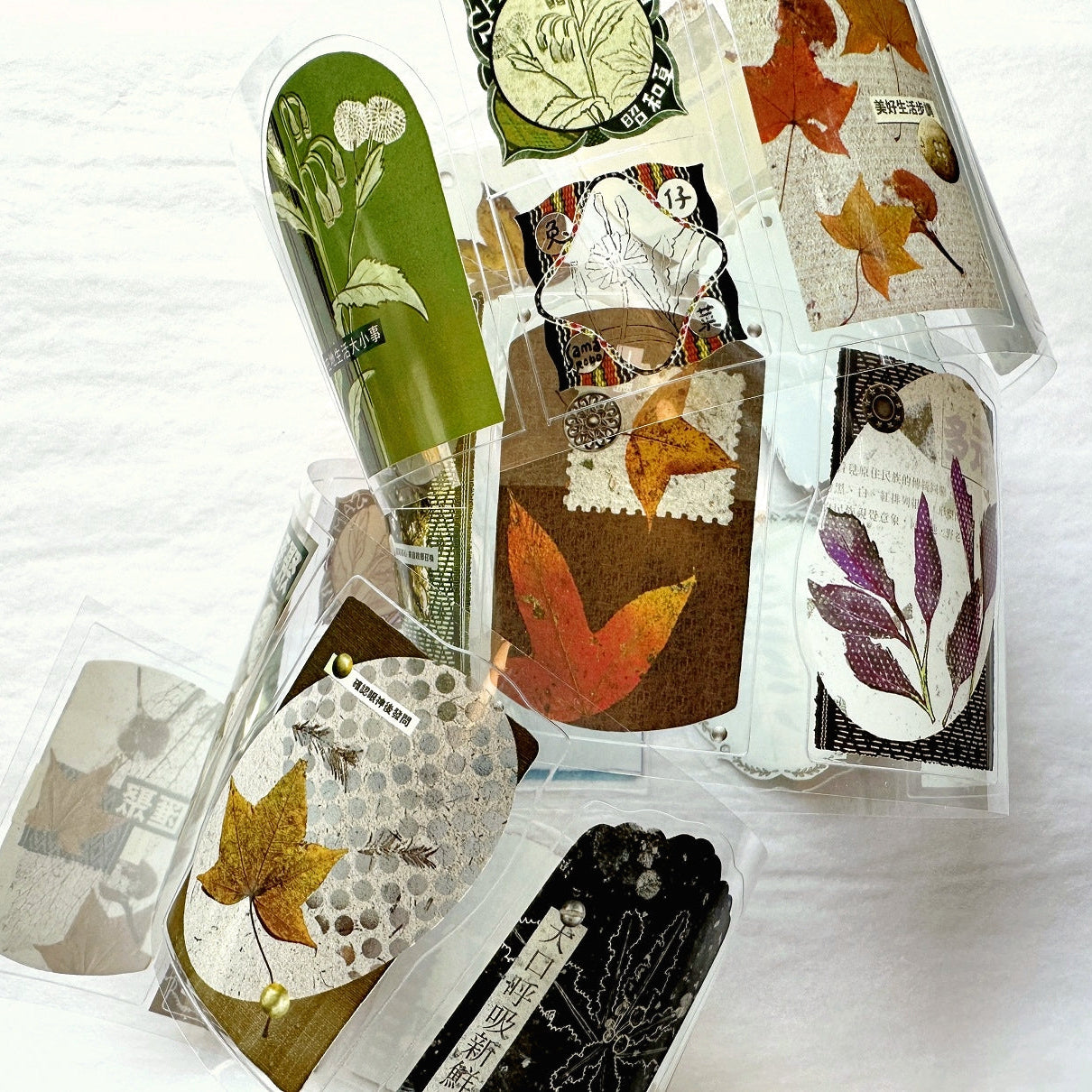 Fafa - Autumn Bounty kiss-cut PET tape SAMPLES
