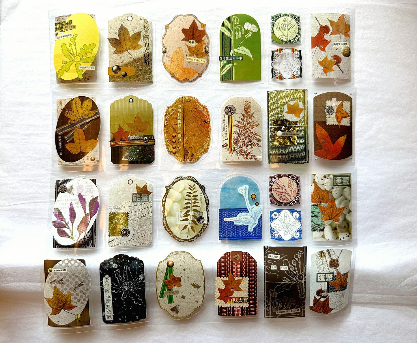 Fafa - Autumn Bounty kiss-cut PET tape SAMPLES