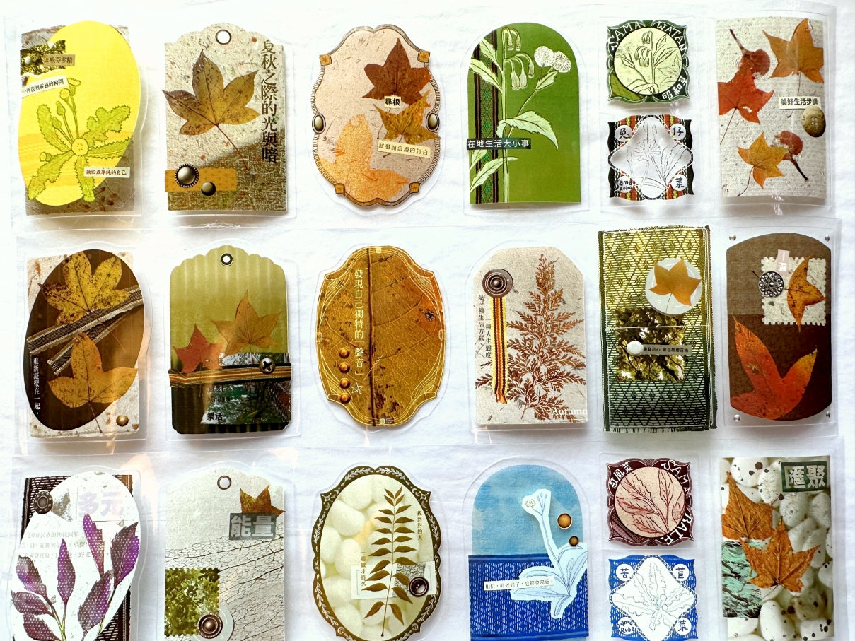 Fafa - Autumn Bounty kiss-cut PET tape SAMPLES