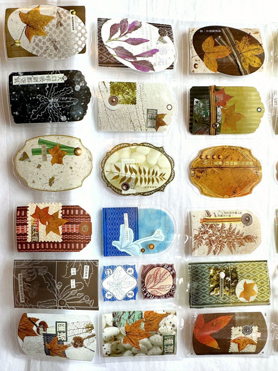 Fafa - Autumn Bounty kiss-cut PET tape SAMPLES